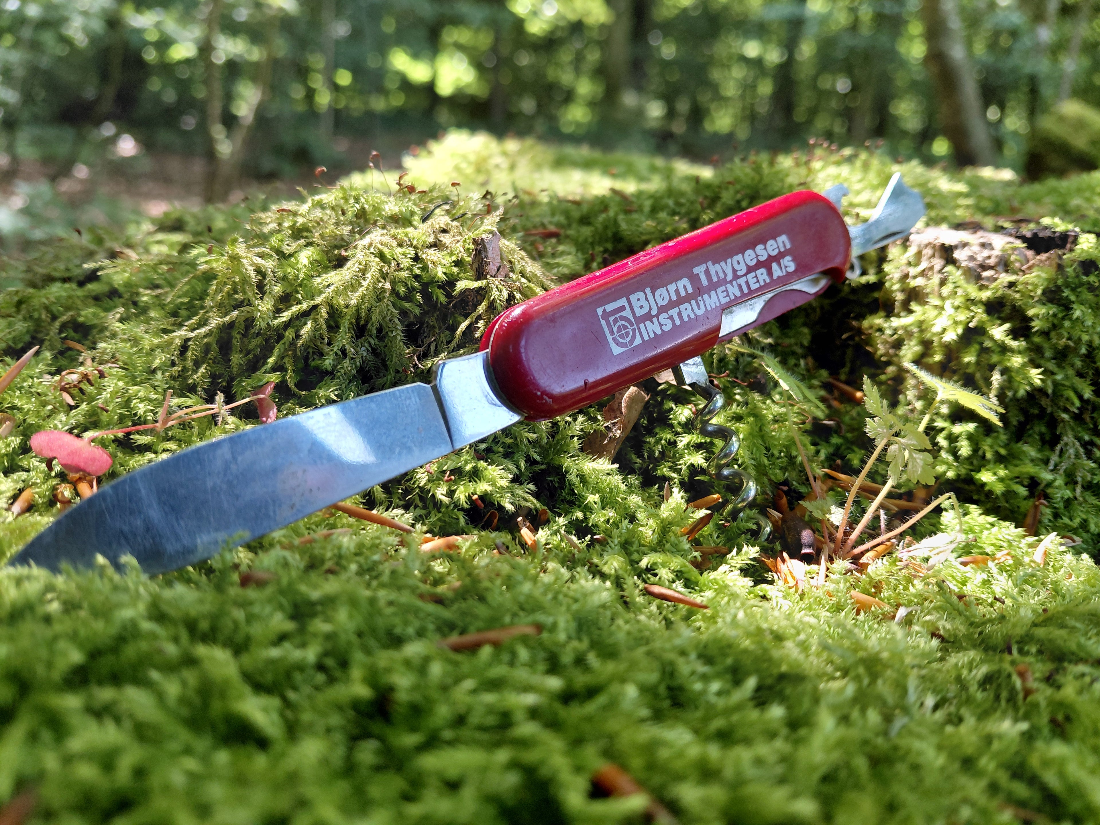 Direktørens valg fra byggepladsen