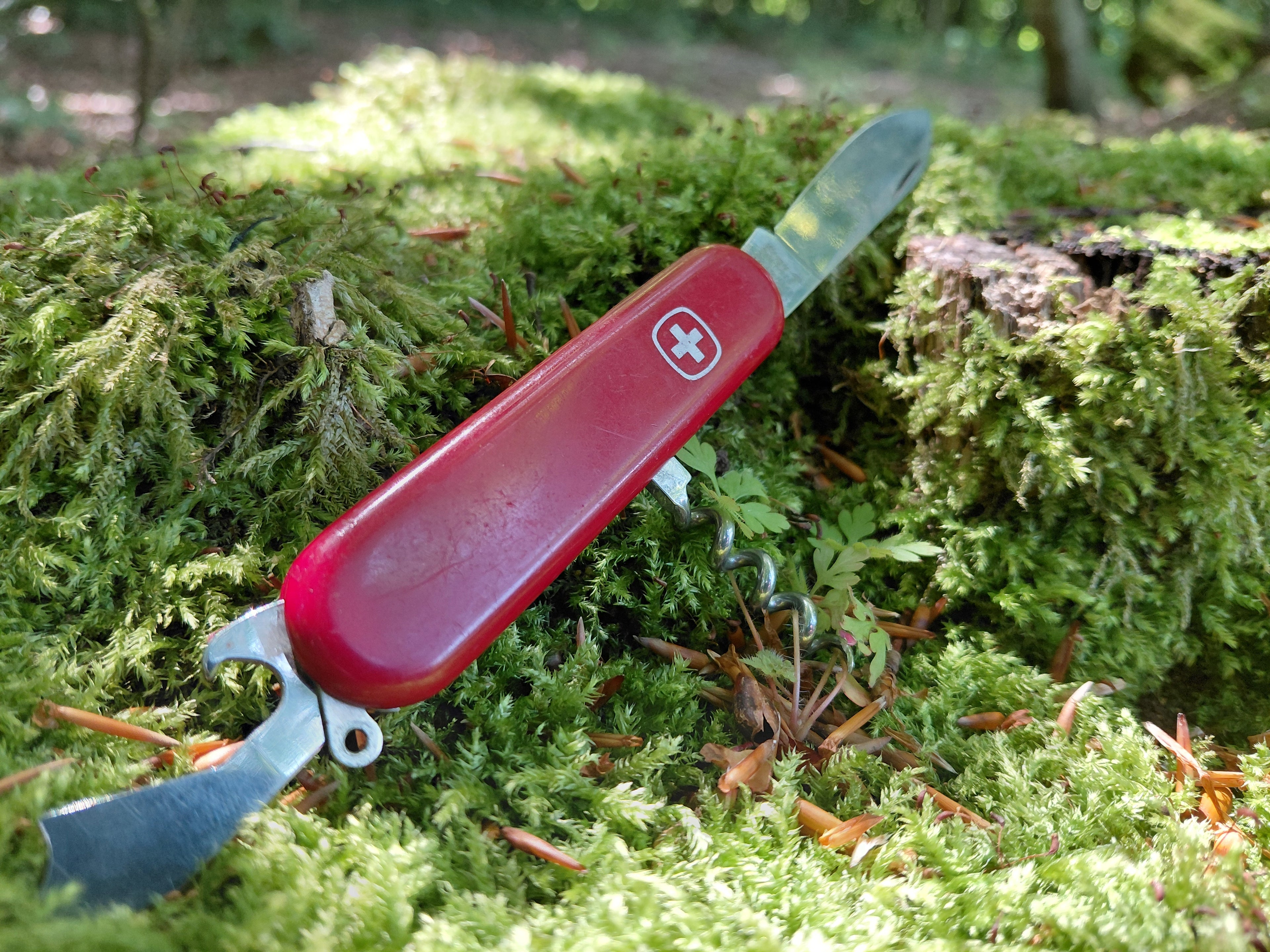 Direktørens valg fra byggepladsen