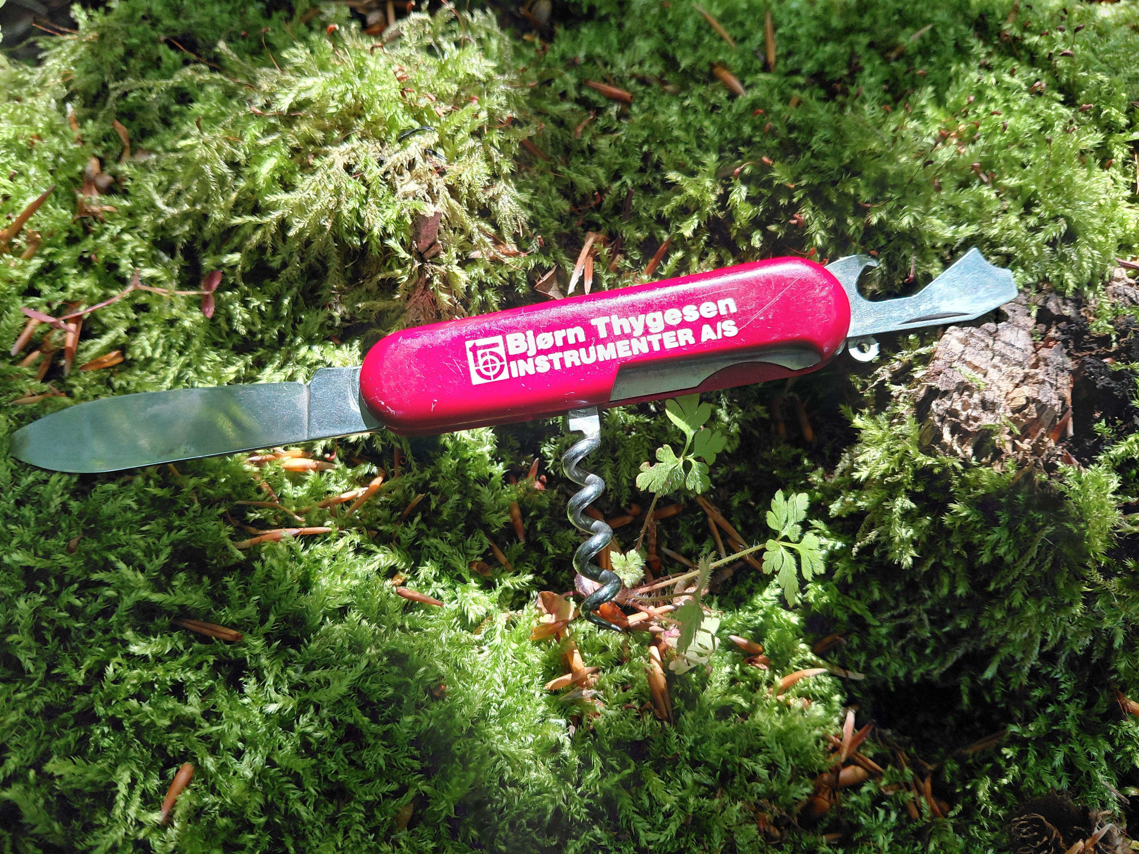 Direktørens valg fra byggepladsen