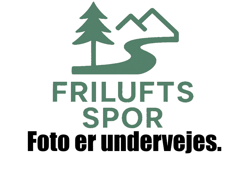 Multiværktøj med tang og 10+ funktioner